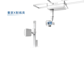 靜態(tài)類（DXR）